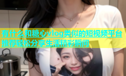 有什么和糖心vlog类似的短视频平台推荐轻松分享生活精彩瞬间
