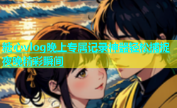 糖心vlog晚上专属记录神器轻松捕捉夜晚精彩瞬间