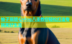 柚子猫糖心vlog八重教你轻松打造专属美好生活