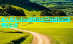 成人糖心vlog视频分享平台轻松记录精彩生活